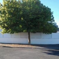 Clôture aluminium Aluclin blanc RAL 9016