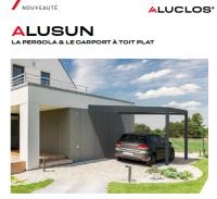 Flyer carport/pergola toit plat et carport photovoltaïque